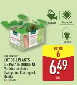 ALDI GARDENLINE LOT DE 6 PLANTS DE PATATE DOUCE offre