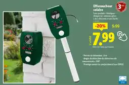Lidl Effaroucheur solaire offre