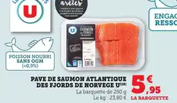 Bi1 Pave de saumon atlantique des fjords de norvege u offre