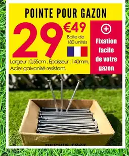 Décor Discount Pointe pour gazon offre