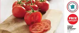 Bi1 Tomate ronde en grappe offre