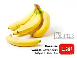 Colruyt Bananes variété Cavendish offre