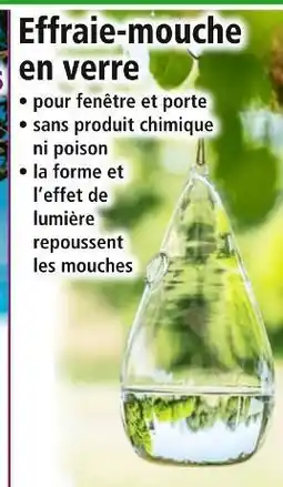 Gardigo Effraie-mouche en verre