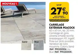 Tout faire matériaux Carrelage Extérieur Peacock offre