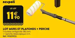 Tout faire matériaux Nespoli Lot murs et plafonds + perche offre