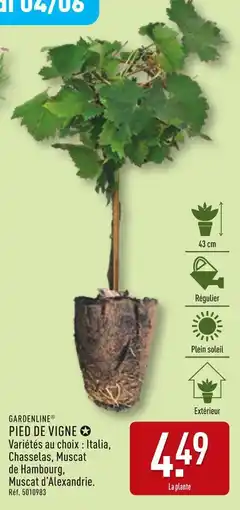 ALDI Pied de Vigne offre