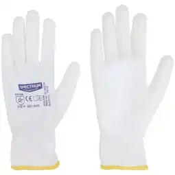 Action Gants de peinture Spectrum offre