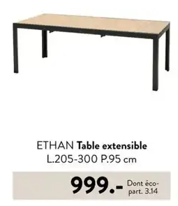 Casa ETHAN Table extensible L.205-300 P.95 cm offre