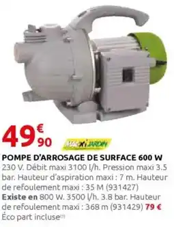 Rural Master Pompe d'arrosage de surface 600 w offre