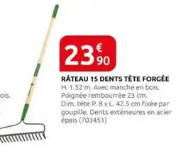 Rural Master Râteau 15 dents tête forgée offre
