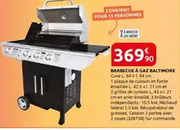 Rural Master Barbecue à gaz baltimore offre