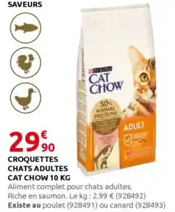 Rural Master PURINA Croquettes chats adultes cat chow offre