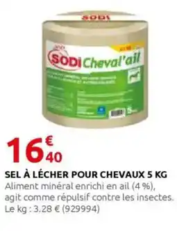 Rural Master SODI Sel à lécher pour chevaux offre