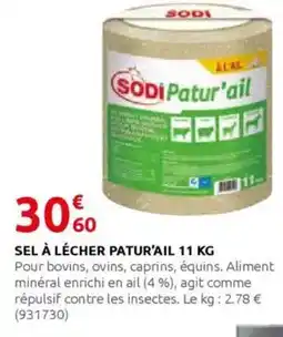 Rural Master SODI Sel à lécher patur'ail offre