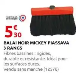 Rural Master Balai noir mickey piassava 3 rangs offre