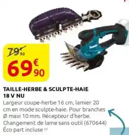 Rural Master Taille-herbe & sculpte-haie 18 v nu offre
