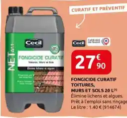 Rural Master CECIL Fongicide curatif toitures, murs et sols offre