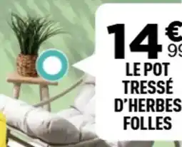 Centrakor Le pot tressé d'herbes folles offre