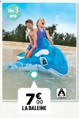 Centrakor La baleine offre