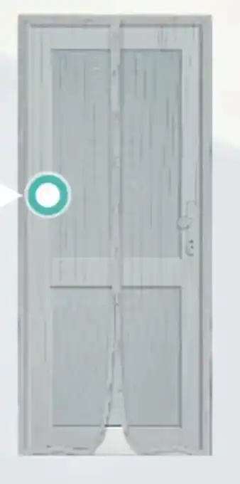 Centrakor Le rideau de porte moustiquaire aimanté offre