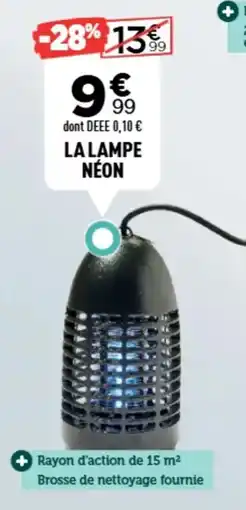 Centrakor La lampe néon offre