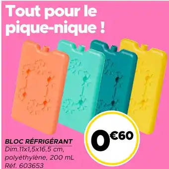 Gifi Bloc Réfrigérant offre