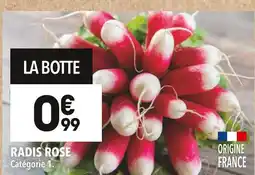Supeco Radis Rose offre