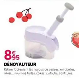 Kiriel Dénoyauteur offre