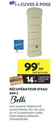 Bricomarché BELLI Récupérateur d'eau offre