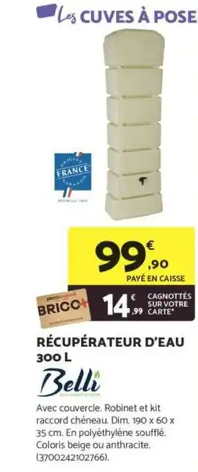 Bricomarché BELLI Récupérateur d'eau offre