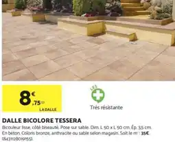 Bricomarché Dalle bicolore tessera offre
