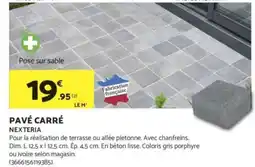 Bricomarché Pavé carré nexteria offre