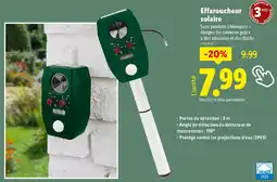 Lidl Effaroucheur solaire offre