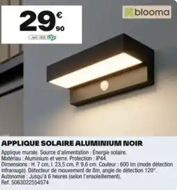 Brico Dépôt Applique solaire aluminium noir offre