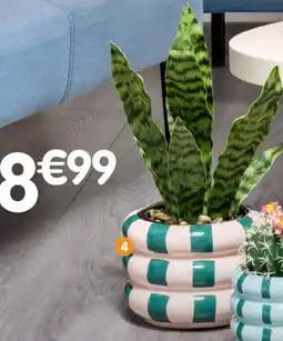 b&m Cache-pot ondulé rayé offre