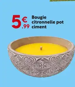 Maxi Bazar Bougie citronnelle pot ciment offre