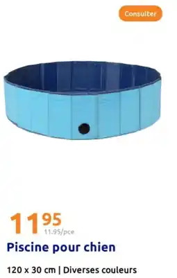 Action Piscine pour chien offre