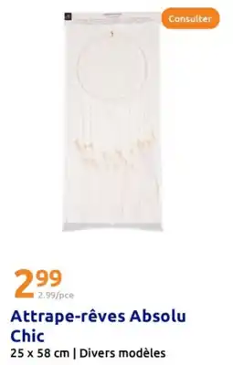 Action Attrape-rêves Absolu Chic offre