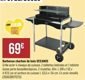 Bricorama Barbecue charbon de bois oceanos offre