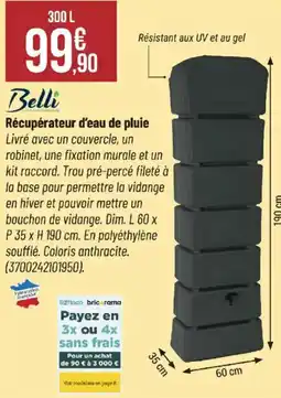 Bricorama BELLI Récupérateur d'eau de pluie offre