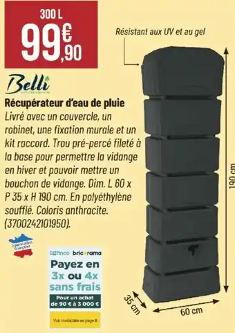 Bricorama BELLI Récupérateur d'eau de pluie offre