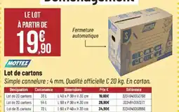 Bricorama MOTTEZ Lot de cartons offre