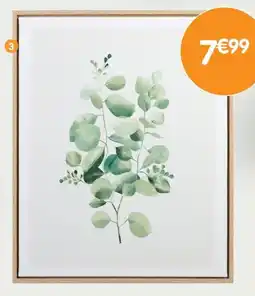 b&m Cadre image eucalyptus offre