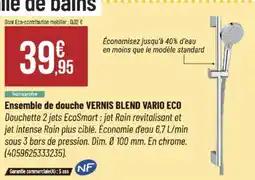 Bricorama Ensemble de douche vernis blend vario eco offre