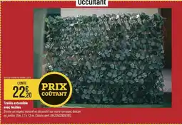 Bricorama Treillis extensible avec feuilles offre