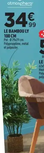 Centrakor Le bambou ly offre