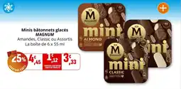 Coccinelle Supermarché Minis bâtonnets glacés magnum offre