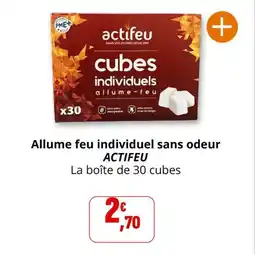 Coccinelle Supermarché Allume feu individuel sans odeur actifeu offre