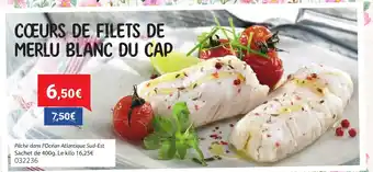 Gel 2000 Cœurs de filets de merlu blanc du cap offre