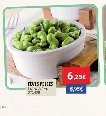 Gel 2000 Fèves pelées offre